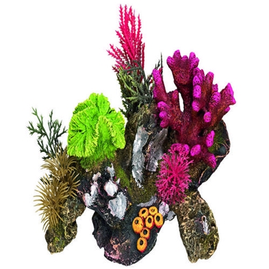 Coral stone dekoration, 17 x 12,5 x 12 cm  (1)