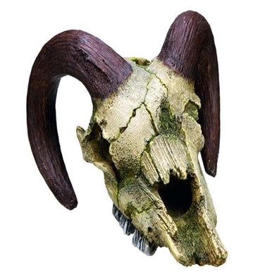 Ram skull akvariedekoration, 17,5 x 16 x 9,5 cm (1