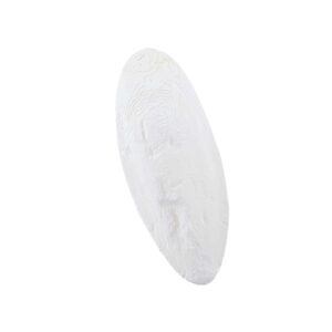 Sepiaskaller hvid 15-20cm 1kg