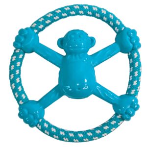 TPR disc abe