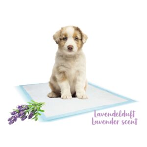Tisseunderlag med lavendel, L, 10 stk.