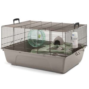 Bur for hamster - Duncan