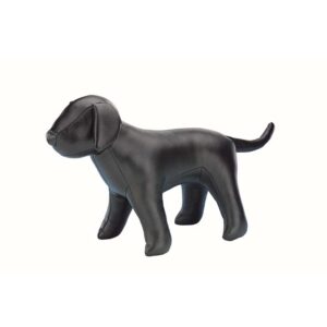 Udstillingshund, Stor