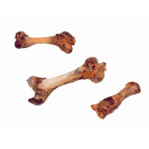 Lårbensknogle XXL 45-55cm 1800-2300g