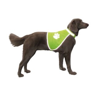 Sikkerhedsvest