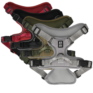 51 - Wanderful - H Harness - Trail