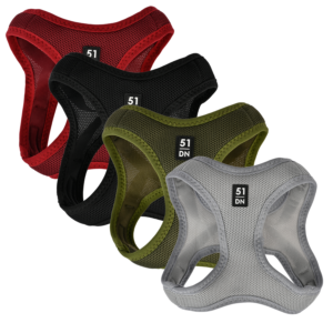 51 - Wanderful - Y Harness - Breeze