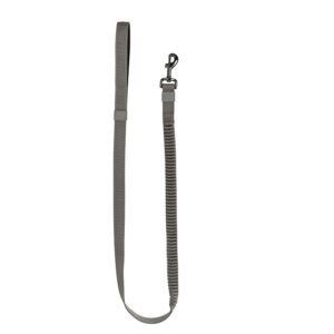 51 - Wanderful - Leash - Nylon - Bungee Flat